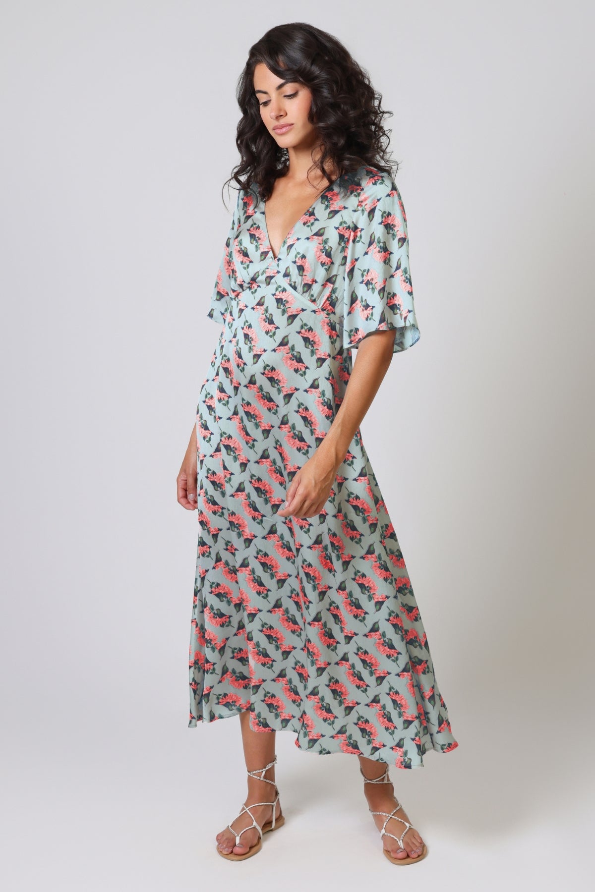 Hummingbird Blythe Dress